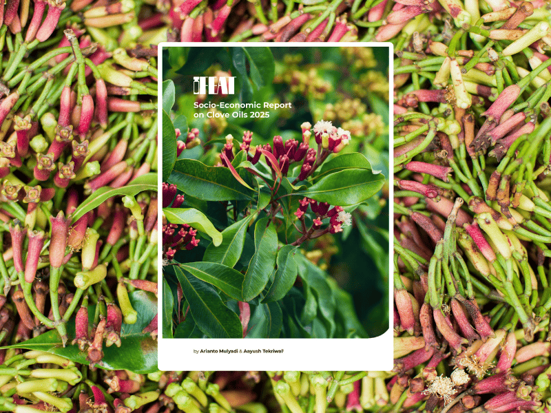Socio-Economic Report on Clove Oils 2025
